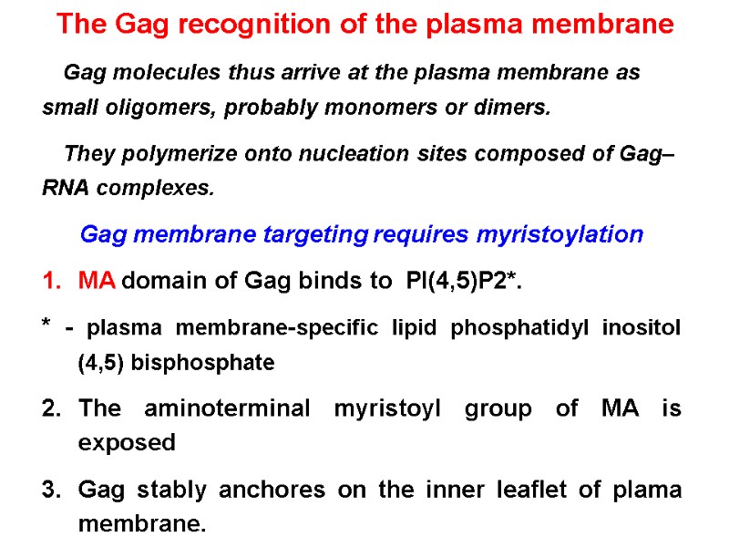 The Gag recognition of the plasma membrane Gag molecules thus arrive at the plasma